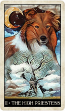 Load image into Gallery viewer, Wise Dog Tarot Deck