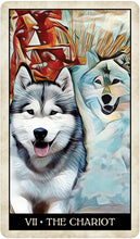 Load image into Gallery viewer, Wise Dog Tarot Deck