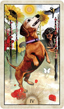 Load image into Gallery viewer, Wise Dog Tarot Deck