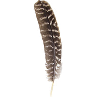 Turkey Smudging Feather 8–14