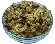 Chrysanthemum