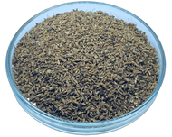 Aniseed