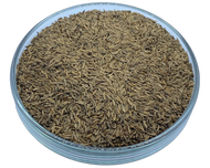 Caraway Seed