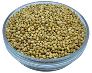 Coriander Seed