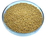 Yellow Mustard Seed