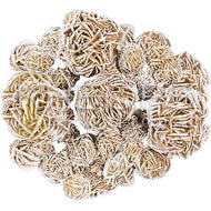 Desert Rose