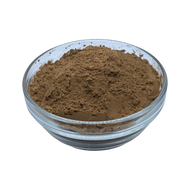Cocoa Powder 22/24%