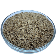 Cumin Seed