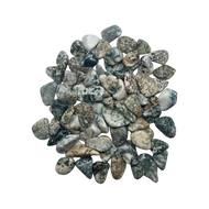 Tree Agate