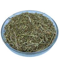 Cinquefoil - Five Finger Grass