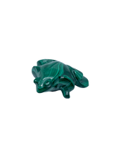 Load image into Gallery viewer, Malachite Frog #1
